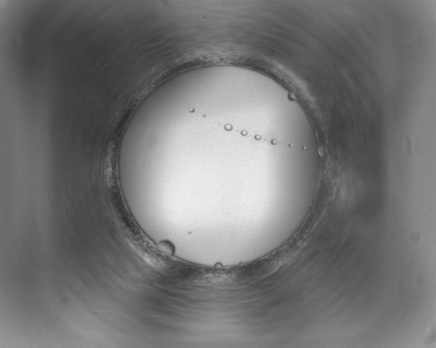 X0000073870065200608101118