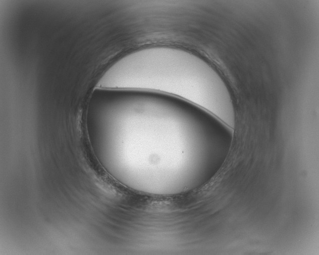 X0000073870066200608101118