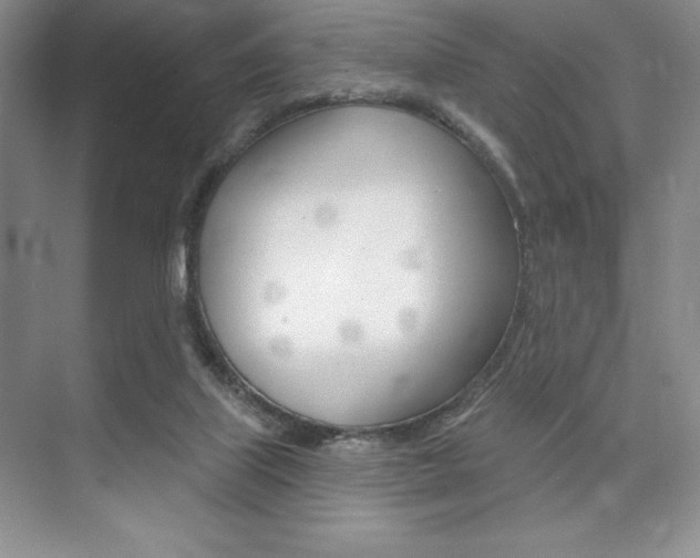 X0000073870067200608101118