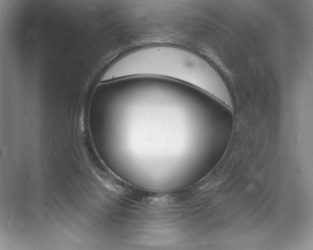 X0000073870068200608101118