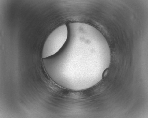 X0000073870069200608101118