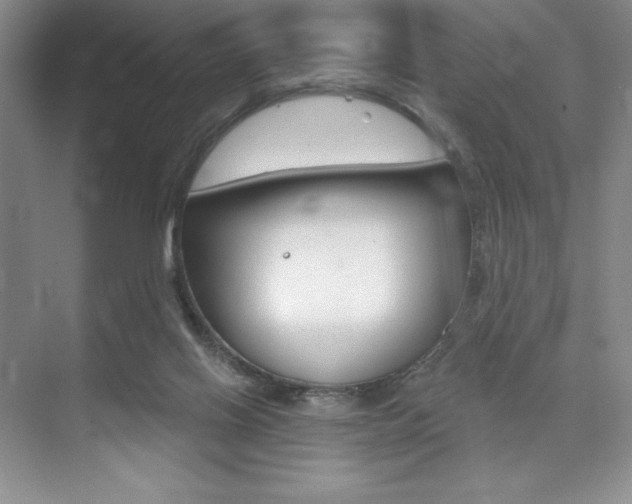 X0000073870070200608101118