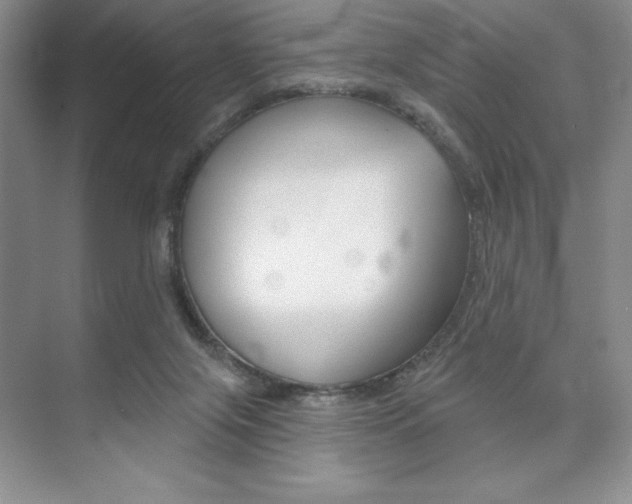 X0000073870071200608101118