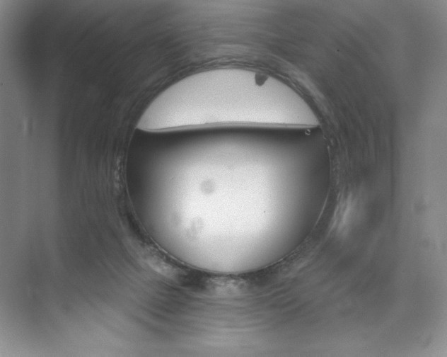 X0000073870073200608101118