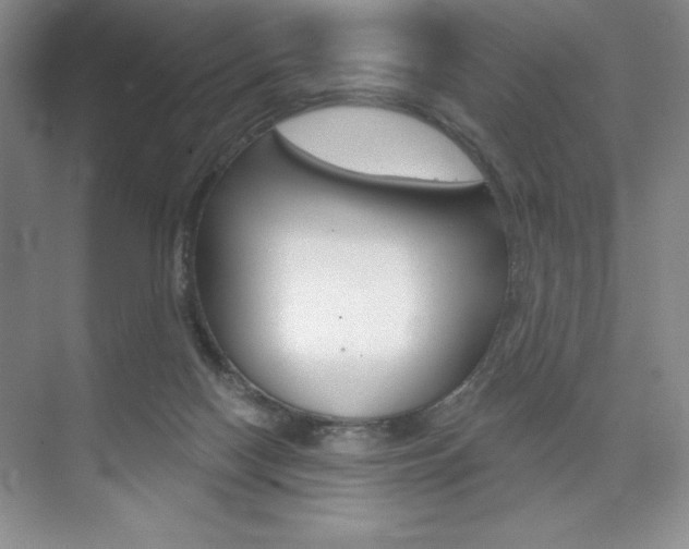 X0000073870074200608101118