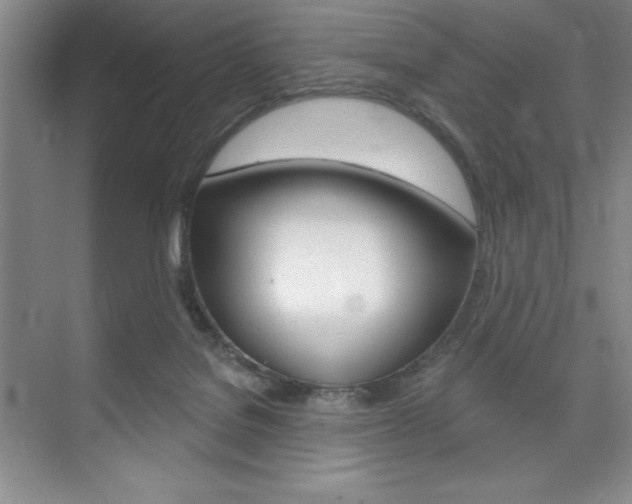 X0000073870076200608101118