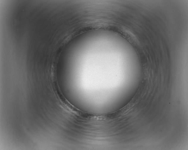 X0000073870077200608101118