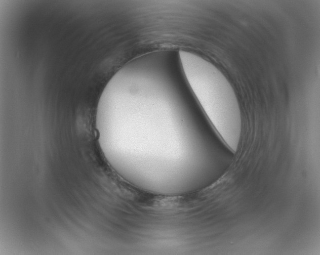 X0000073870078200608101118