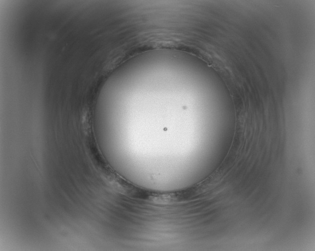 X0000073870079200608101118