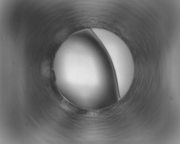 X0000073870080200608101118