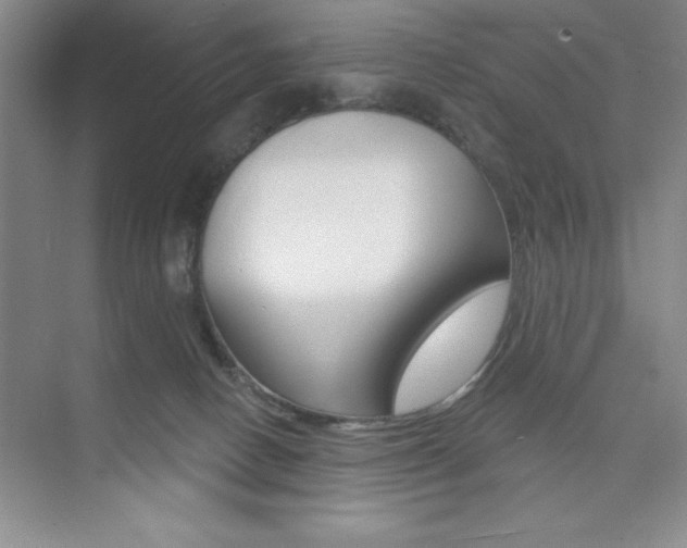 X0000073870082200608101118