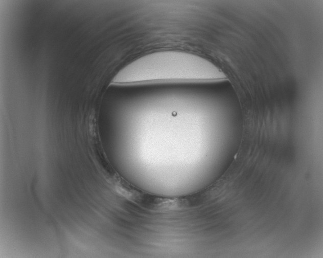 X0000073870083200608101118