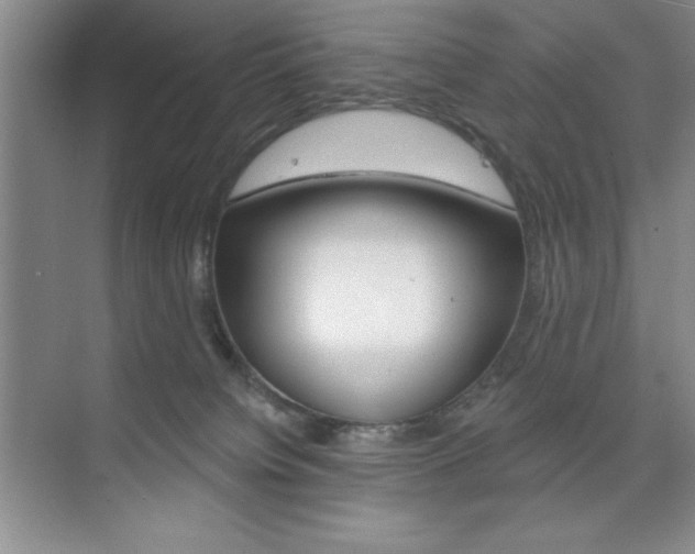 X0000073870084200608101118