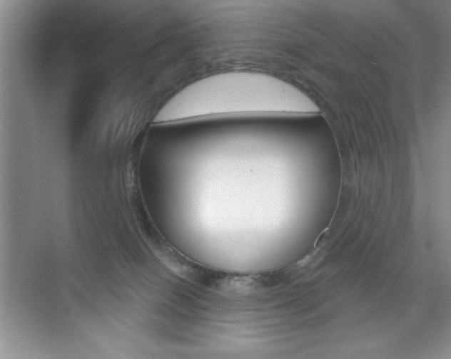 X0000073870086200608101118