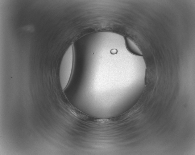 X0000073870087200608101118