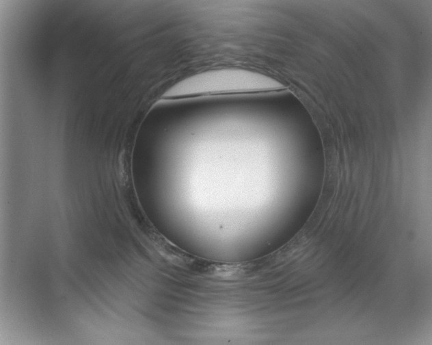 X0000073870088200608101118