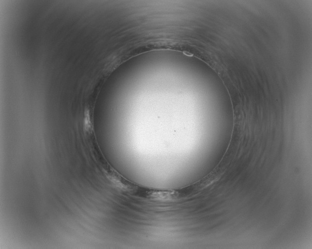 X0000073870089200608101118