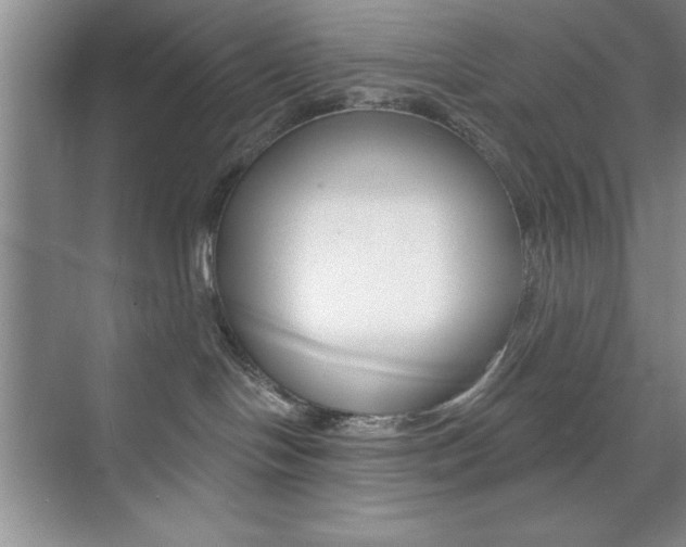 X0000073870094200608101118