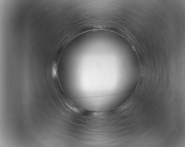 X0000073870095200608101118