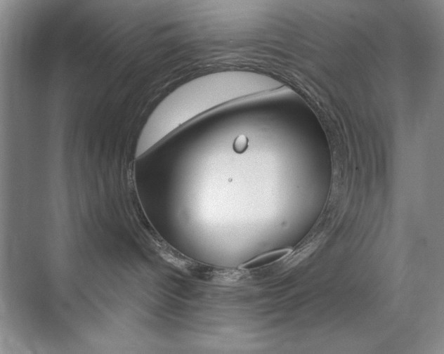 X0000073870096200608101118