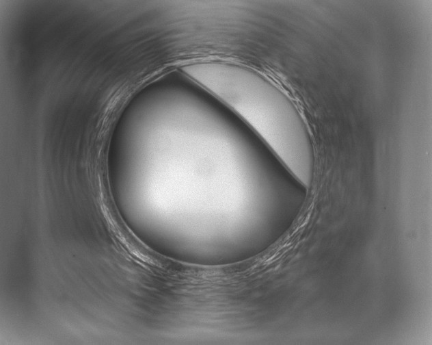 X0000073870097200608101117