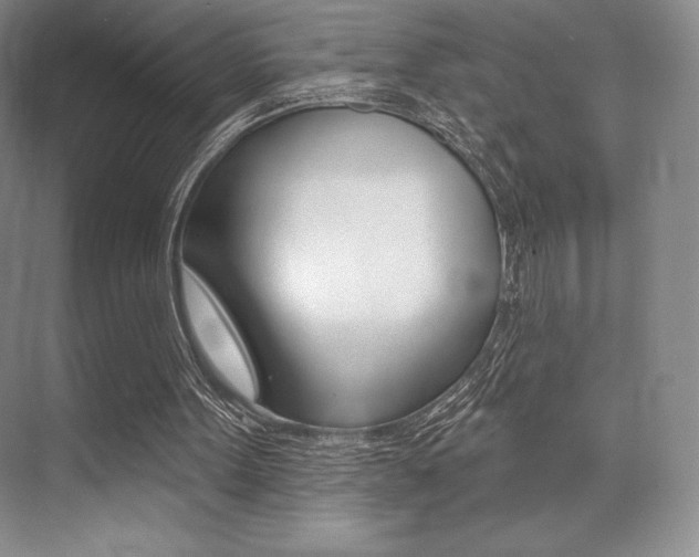 X0000073870099200608101117