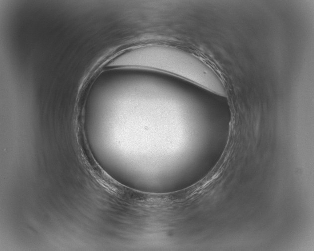 X0000073870101200608101117