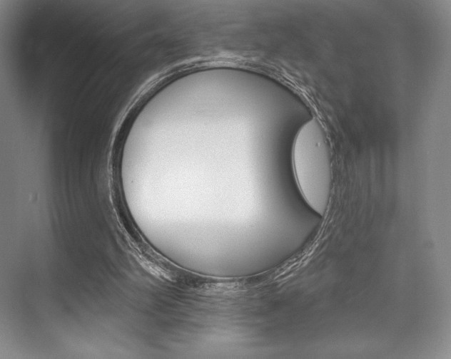 X0000073870102200608101117