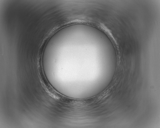 X0000073870106200608101117