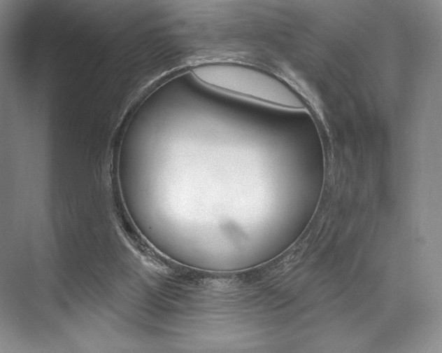 X0000073870107200608101117