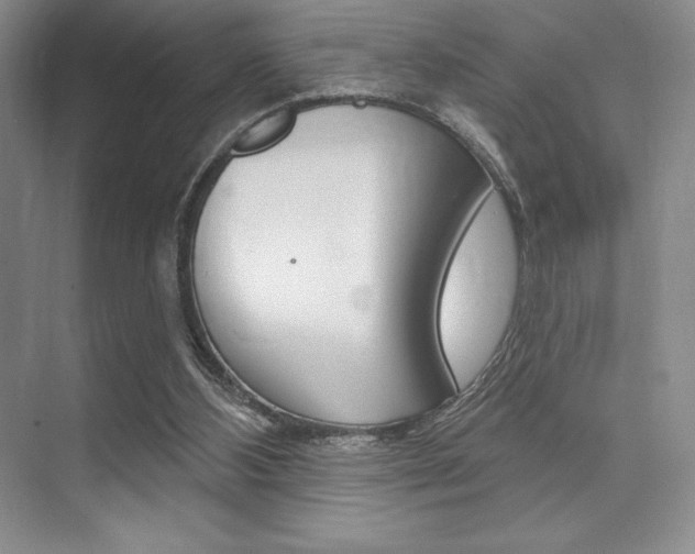 X0000073870108200608101117