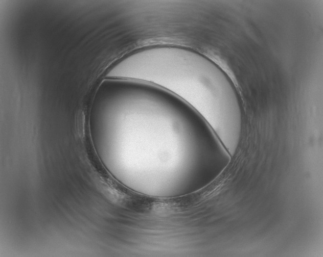 X0000073870109200608101117