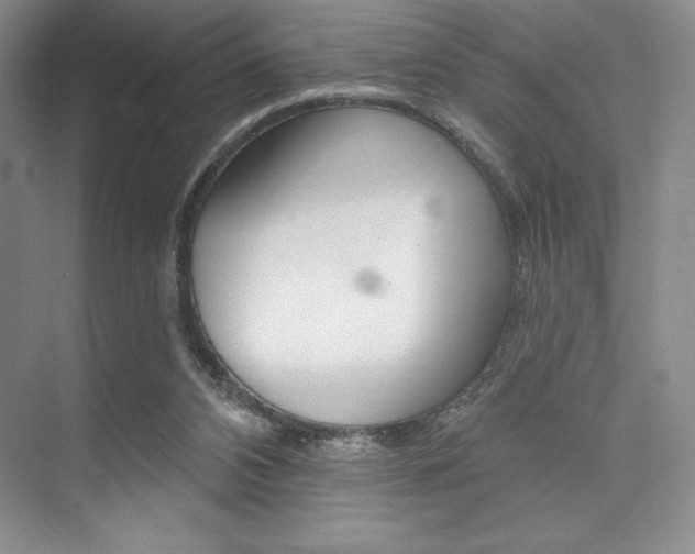 X0000073870112200608101117