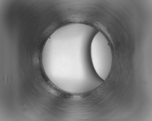 X0000073870114200608101117