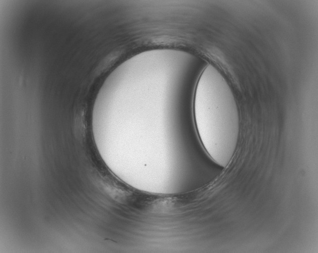 X0000073870116200608101117