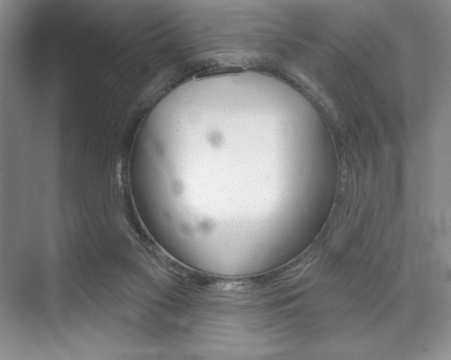 X0000073870117200608101117