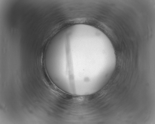 X0000073870118200608101117