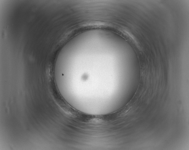 X0000073870119200608101117