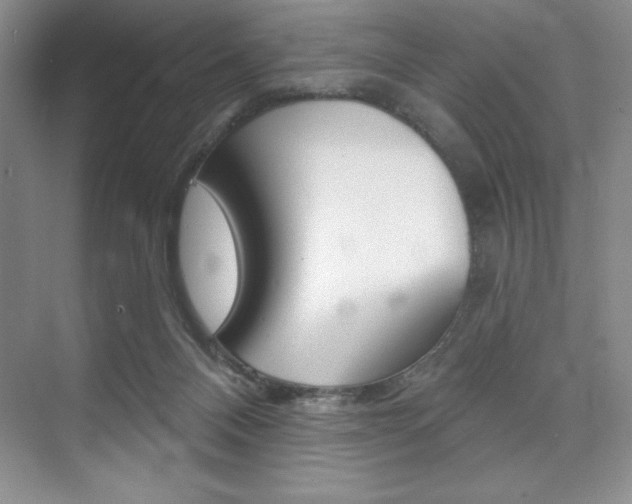 X0000073870120200608101117