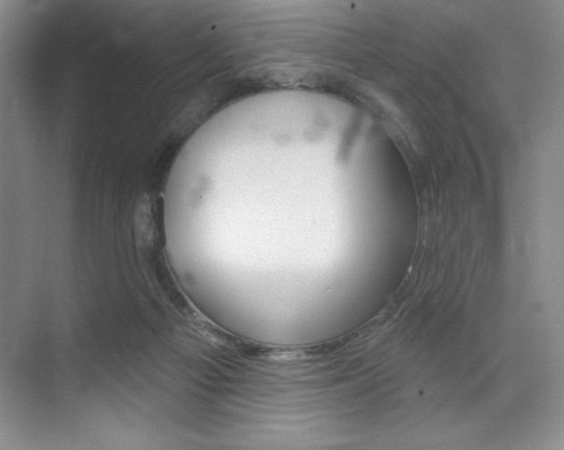 X0000073870121200608101117