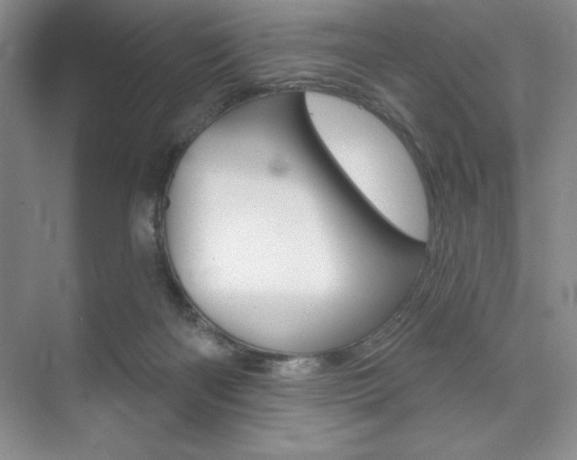 X0000073870122200608101117