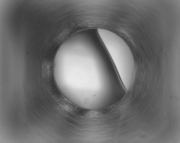 X0000073870123200608101117