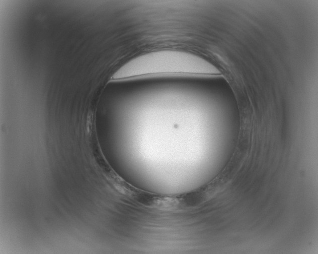 X0000073870125200608101117