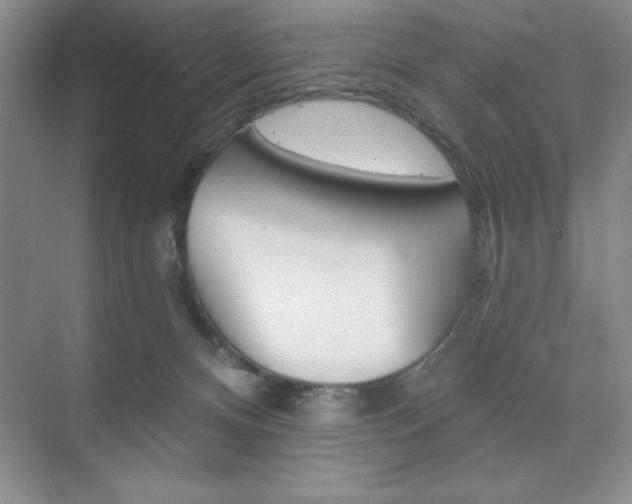 X0000073870128200608101117