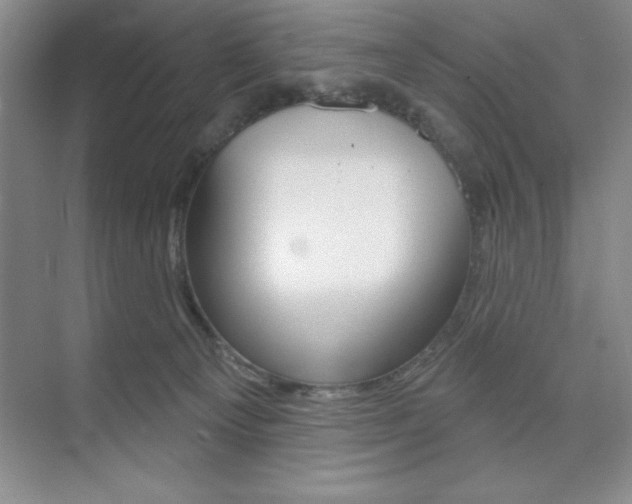 X0000073870129200608101117