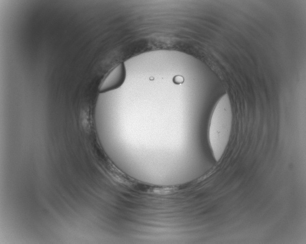 X0000073870134200608101117