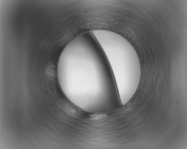 X0000073870135200608101117