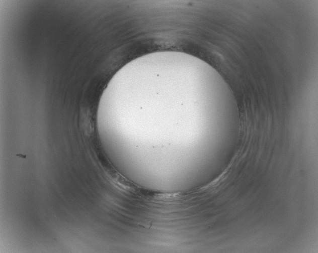 X0000073870136200608101117