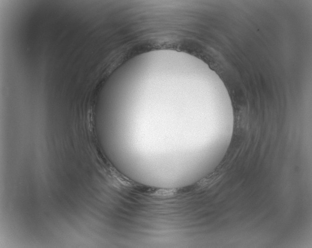 X0000073870138200608101117