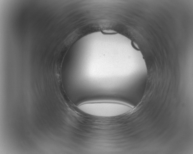 X0000073870140200608101117